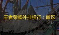 王者荣耀外挂横行 ：暗区突围引发玩家狂怒