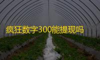 疯狂数字300能提现吗