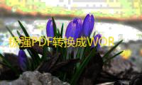 极强PDF转换成WORD转换器 5.2.3 官方版
